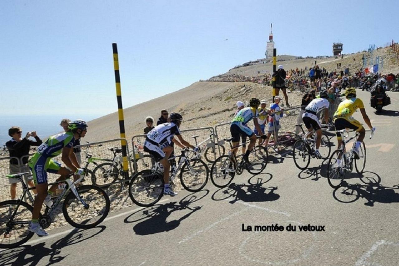 Appartamento La Cigale Malaucène Esterno foto